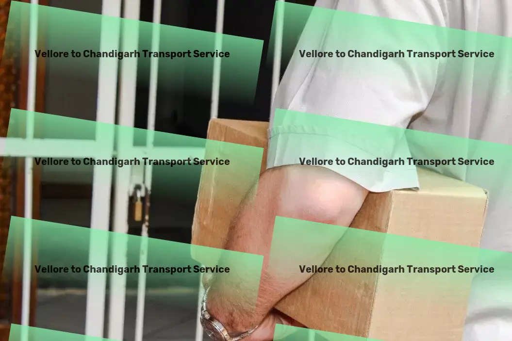 Vellore to Chandigarh Luggage Courier Secure freight services