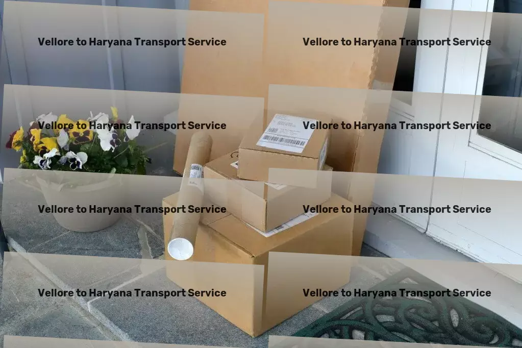 Vellore to Haryana Bike Transport And Scooty Courier Deliver excellence with every shipment in India. - Professional goods moving