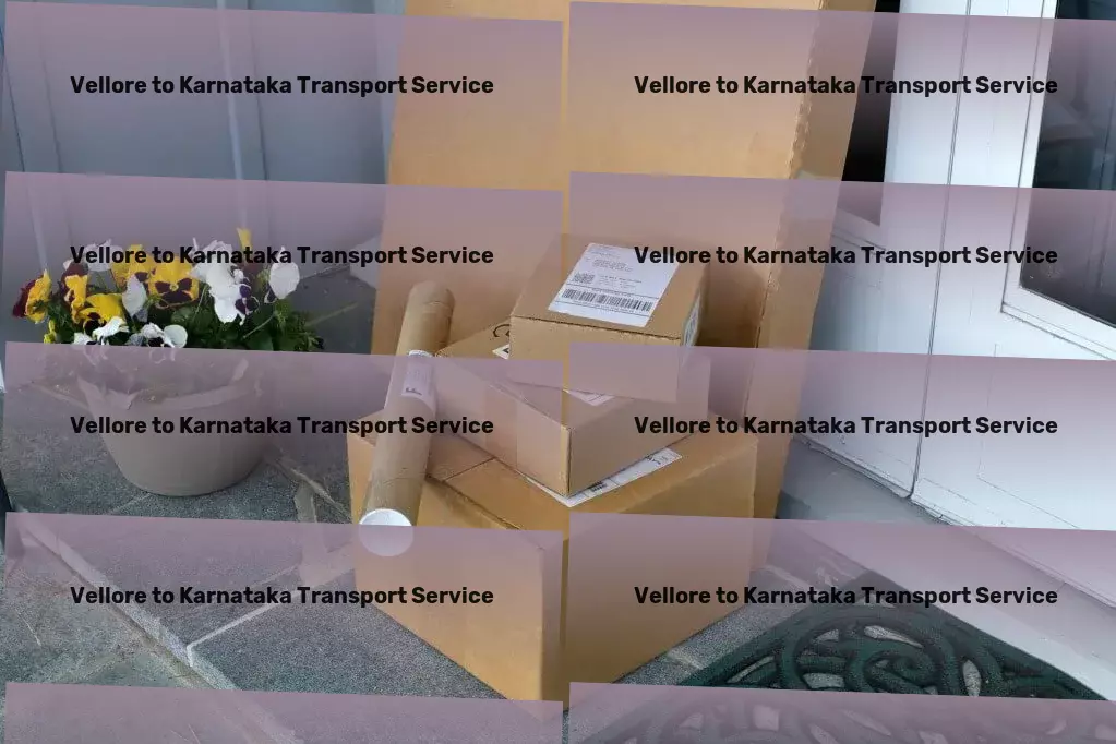 Vellore to Karnataka Bike Transport And Scooty Courier Citywide freight services