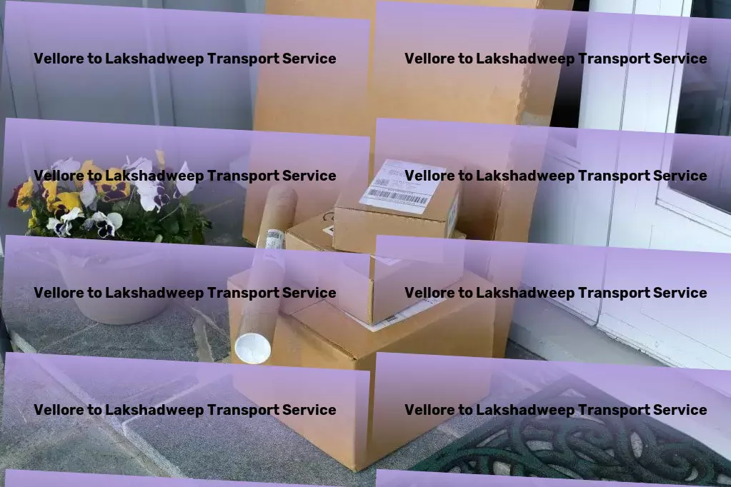 Vellore to Lakshadweep Luggage Courier Small load trucking