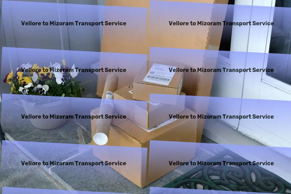 Vellore to Mizoram Packers And Movers National package services